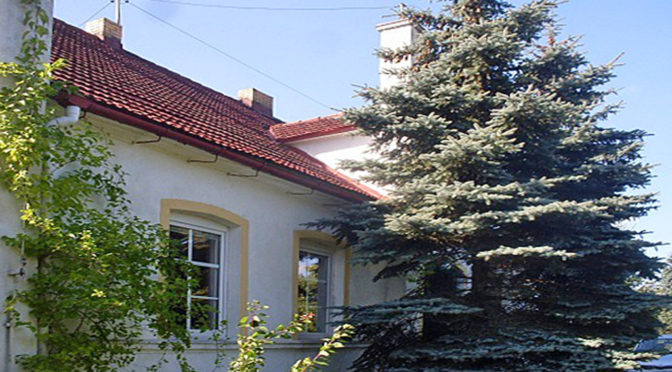 front oraz reprezentacyjne wejście do luksusowej rezydencji na sprzedaż w okolicach Gorzowa Wielkopolskiego