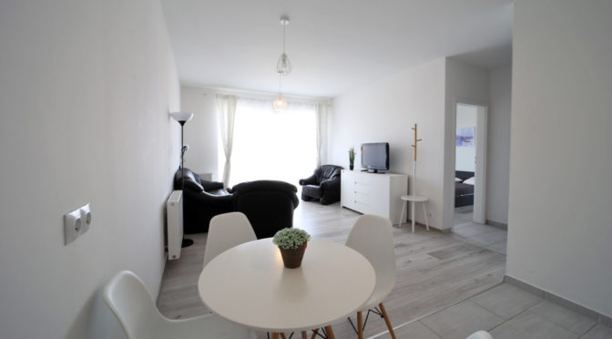 widok na komfortowy salon w luksusowym apartamencie do wynajęcia Bolesławiec