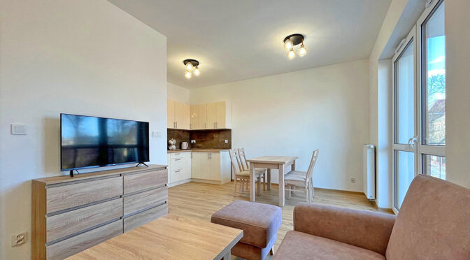 nowoczesny pokój dzienny w luksusowym apartamencie do wynajmu Szczecin