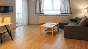 Read more about the article Apartament na wynajem w Katowicach