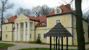 Read more about the article Pałac sprzedaż Śląsk