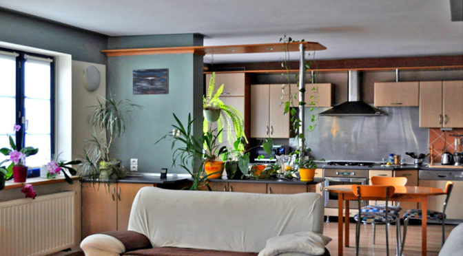 widok z salonu na aneks kuchenny w ekskluzywnym apartamencie do sprzedaży Legnica (okolice)