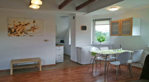 Read more about the article Apartament do wynajmu Katowice (okolice)