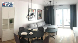 Read more about the article Apartament do wynajmu Łódź