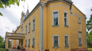 Read more about the article Pałac na sprzedaż Wielkopolska