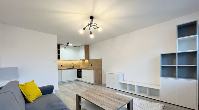 minimalistyczna aranżacja wnętrza w ekskluzywnym apartamencie do wynajmu Szczecin