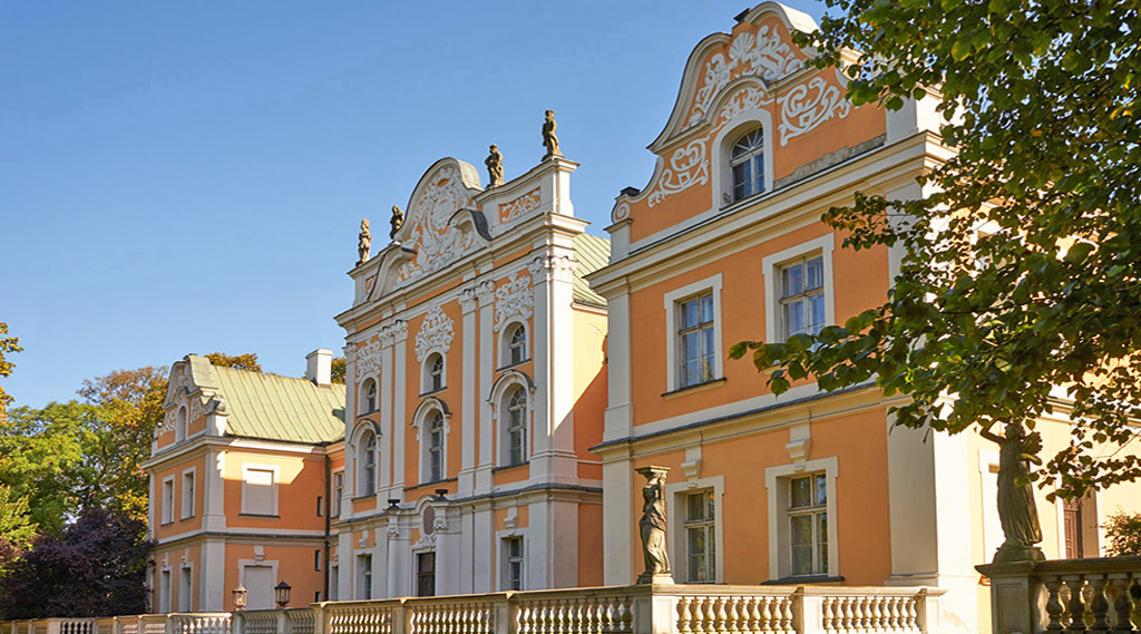 You are currently viewing Pałac na sprzedaż Wielkopolska