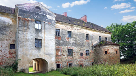 Read more about the article Zamek na sprzedaż Dolny Śląsk
