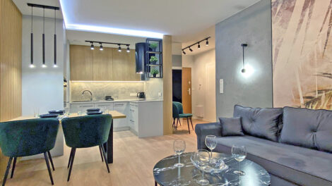 Read more about the article Apartament do wynajęcia Katowice
