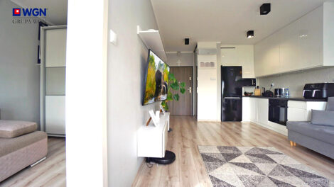 Read more about the article Apartament do wynajęcia Konin