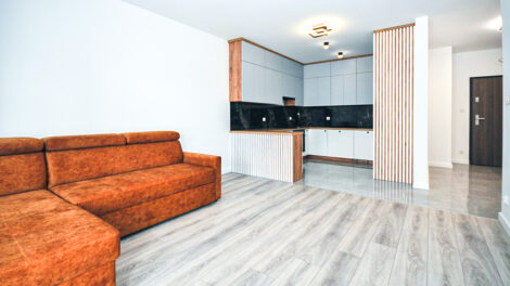 Read more about the article Apartament do wynajmu Piotrków Trybunalski (okolice)