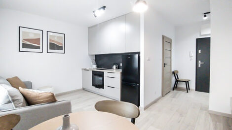 Read more about the article Apartament na wynajem Legnica