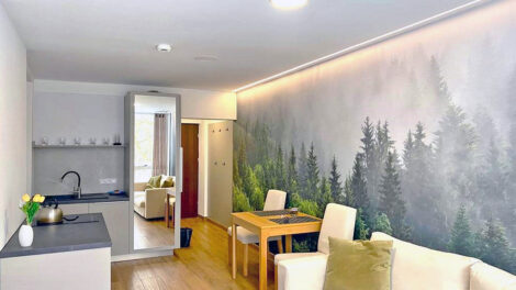 Read more about the article Apartament na sprzedaż Bielsko-Biała (okolice)