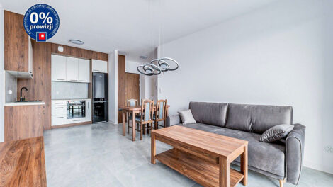Read more about the article Apartament do wynajmu Gdynia (okolice)