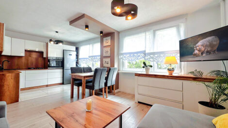 Read more about the article Apartament na wynajem Katowice (okolice)