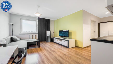 Read more about the article Apartament do sprzedaży Katowice (okolice)