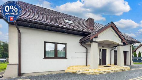 Read more about the article Rezydencja do sprzedaży Katowice (okolice)