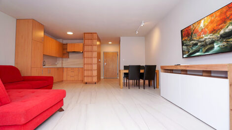 Read more about the article Apartament do wynajmu Piotrków Trybunalski