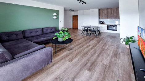 Read more about the article Apartament do wynajmu Wałbrzych (okolice)