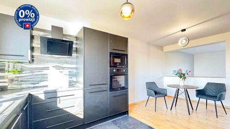 Read more about the article Rezydencja do sprzedaży Katowice
