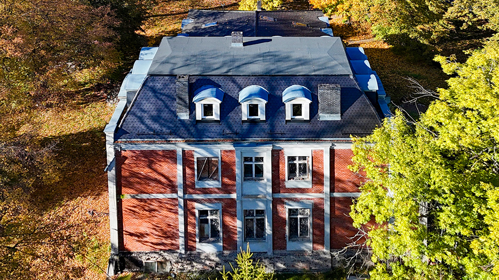 You are currently viewing Pałac na sprzedaż Opolszczyzna