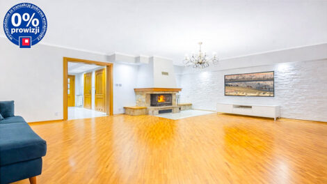 Read more about the article Rezydencja do sprzedaży Katowice (okolice)