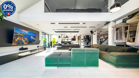 Read more about the article Rezydencja do sprzedaży Katowice (okolice)