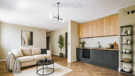 Read more about the article Apartament do sprzedaży Katowice (okolice)